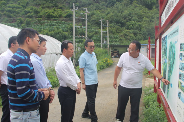 1、红托竹荪种植基地_调整大小.jpg